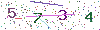验证码